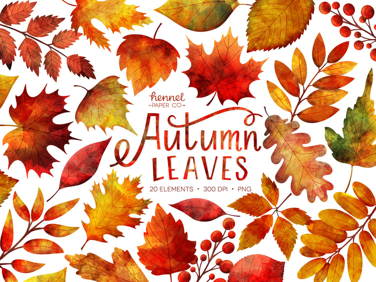 Clipart - Autumn Leaves