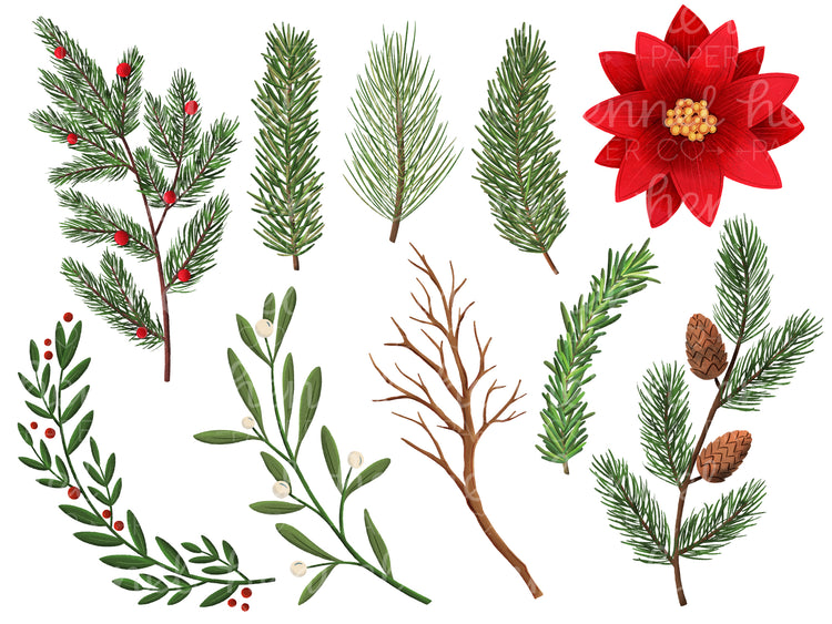 Clipart - Holiday Foliage