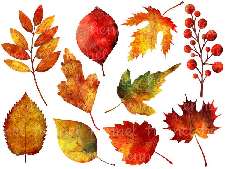 Clipart - Autumn Leaves