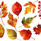 Clipart - Autumn Leaves